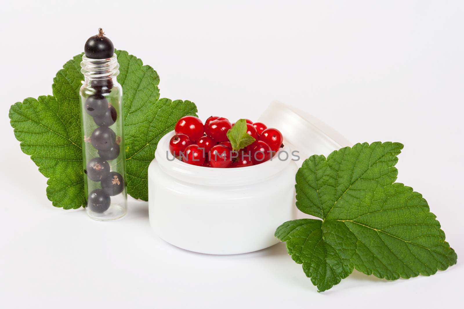 concept natural cosmetics made of redcurrant and black currant put on white background with green leafs