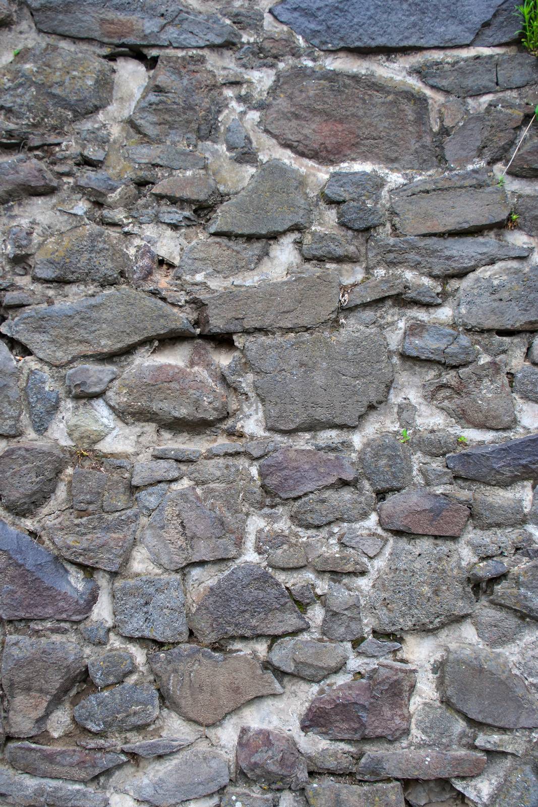 cracked old castle wall of flat stones, overgrown with grass