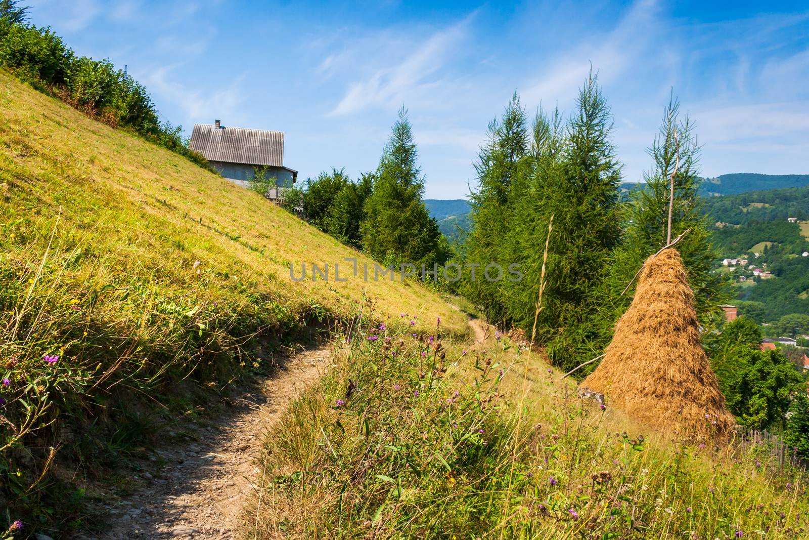 wooden fence in mountains by Pellinni