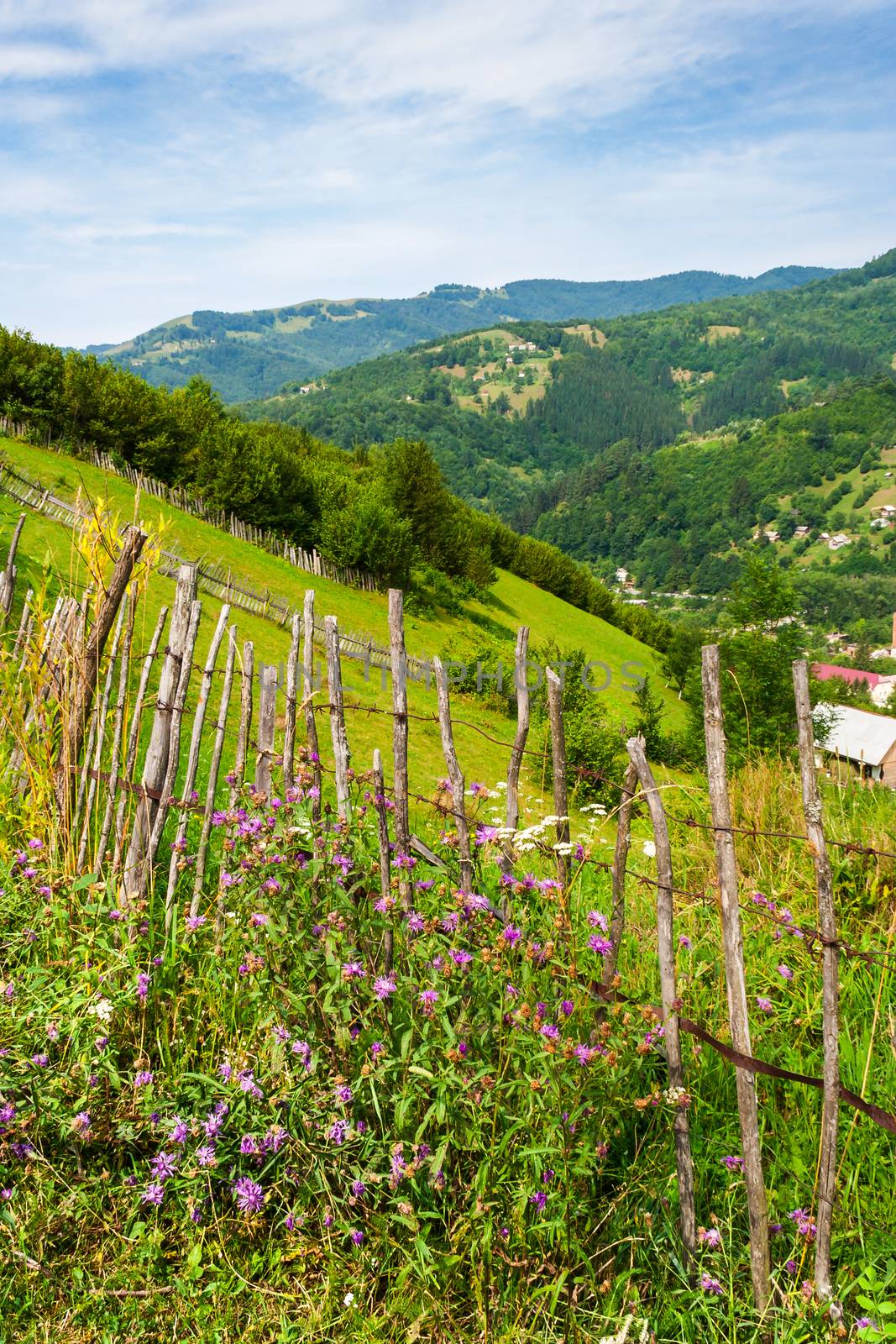 wooden fence in mountains by Pellinni