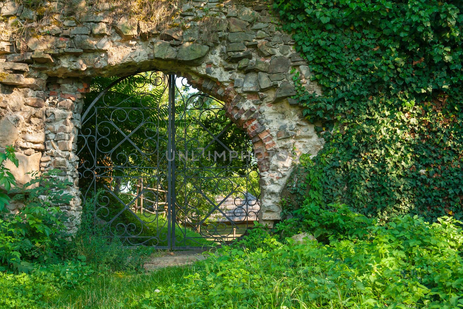 old stone wall covered with green leaves