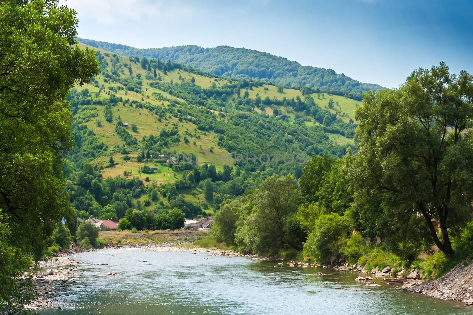 landscape with mountains trees and a river in front