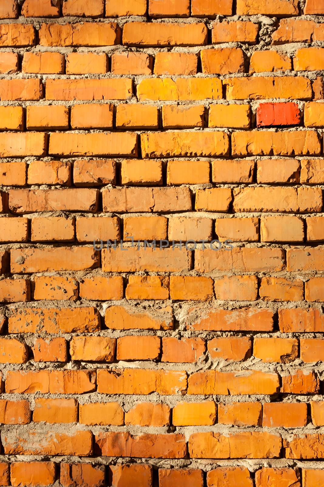 yellow brick wall by Pellinni