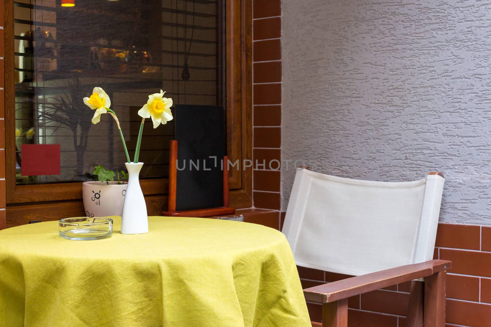 Two narcissus flower in a vase on a table in a cafe near the window