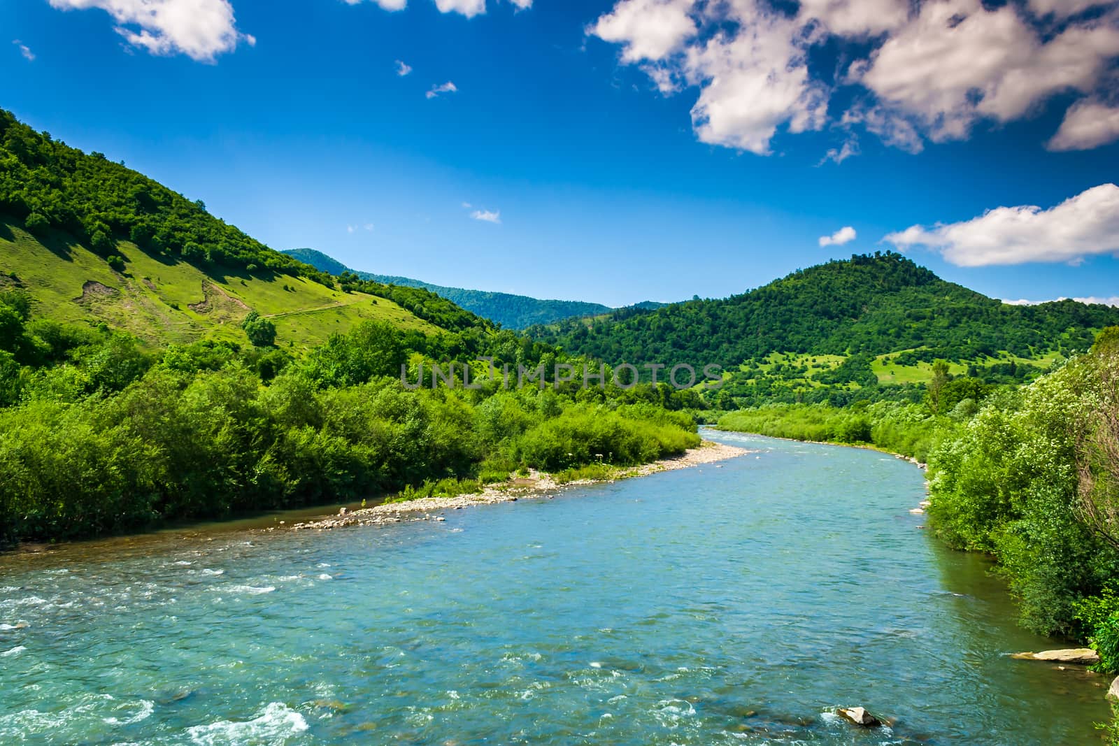 wild river flowing between green mountains on a clear summer day