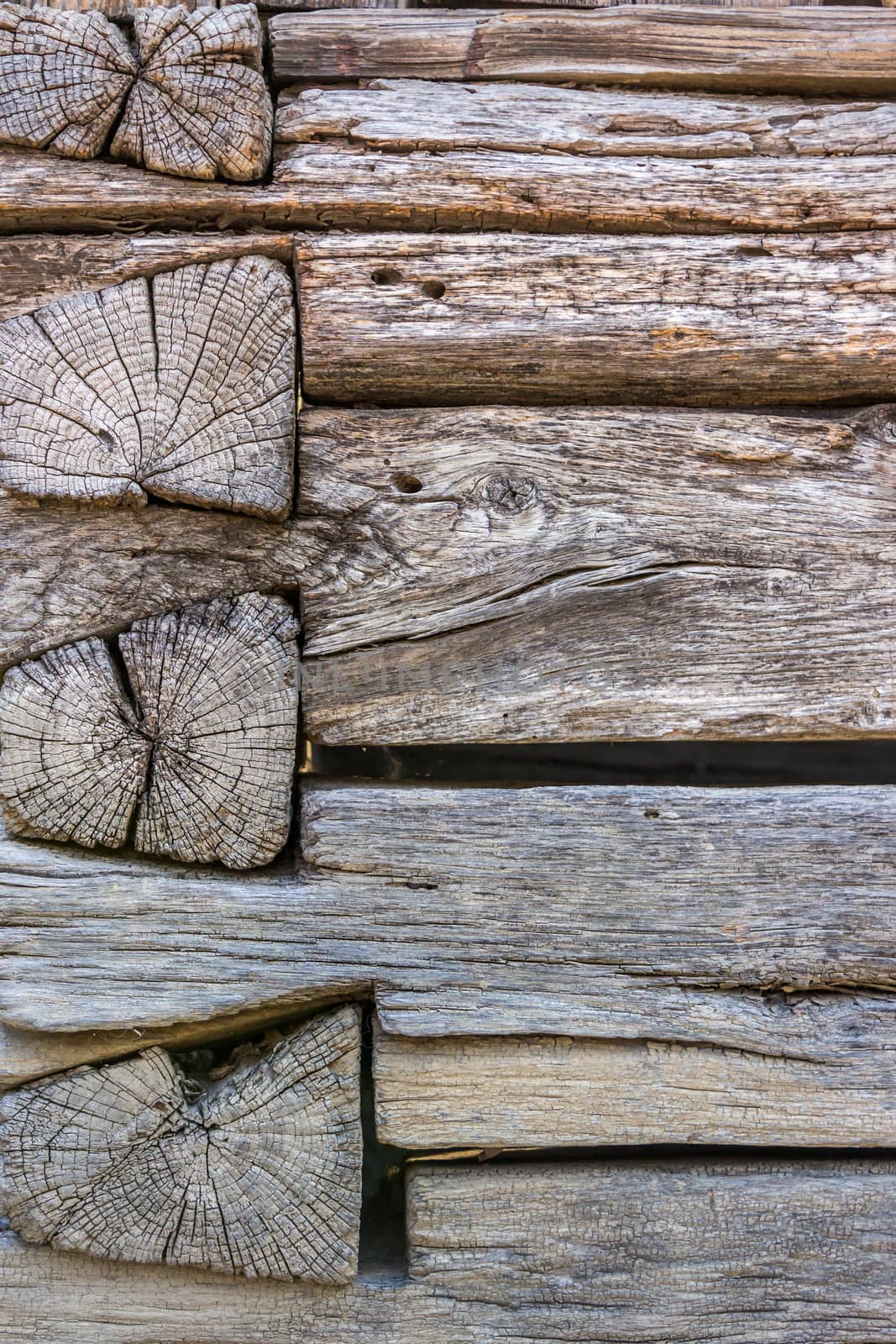 weathered wooden wall by Pellinni