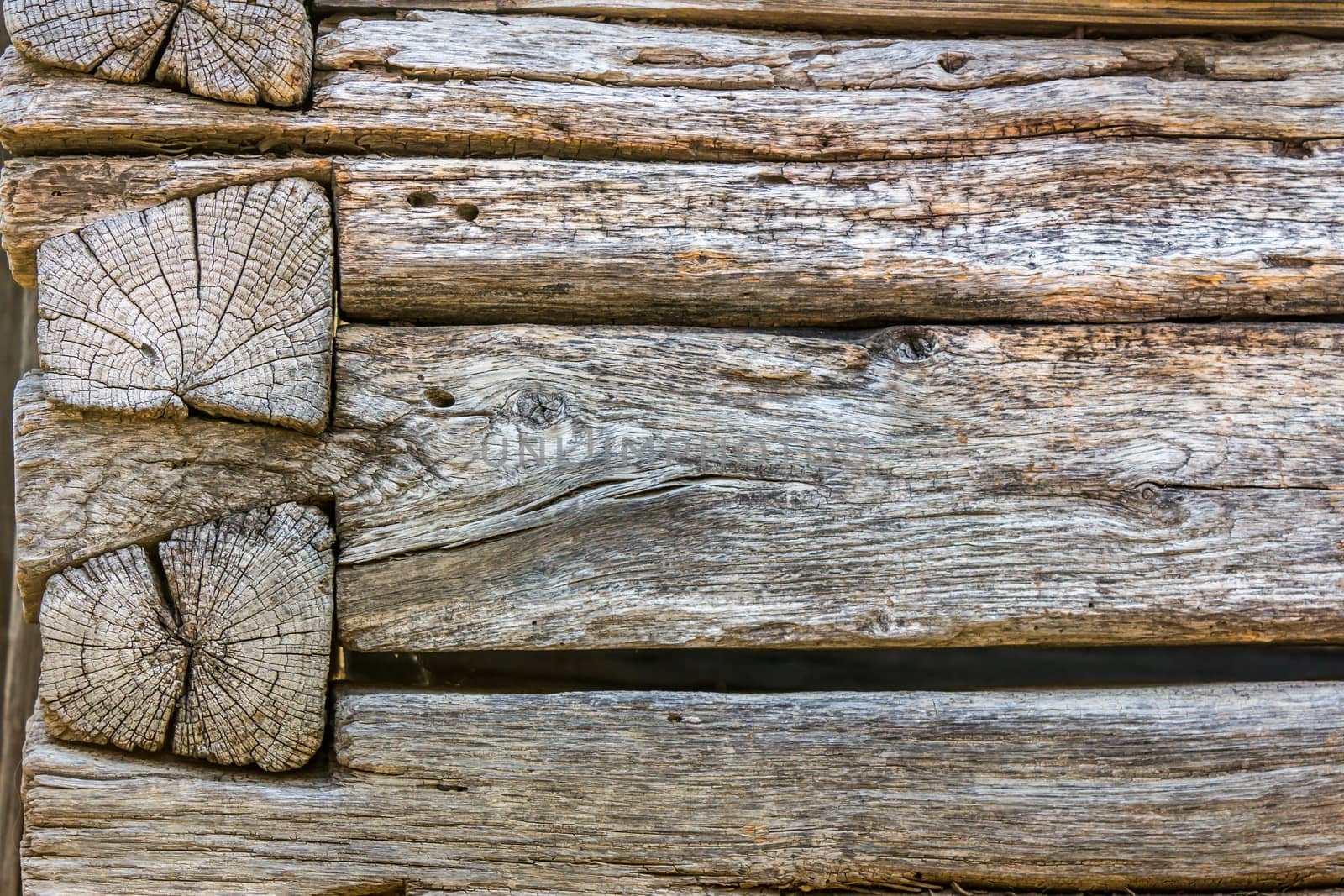 weathered wooden wall by Pellinni