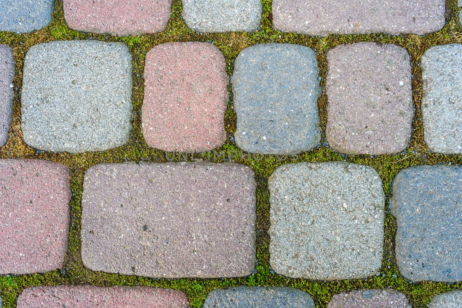 colored cobbles paved inside of moss