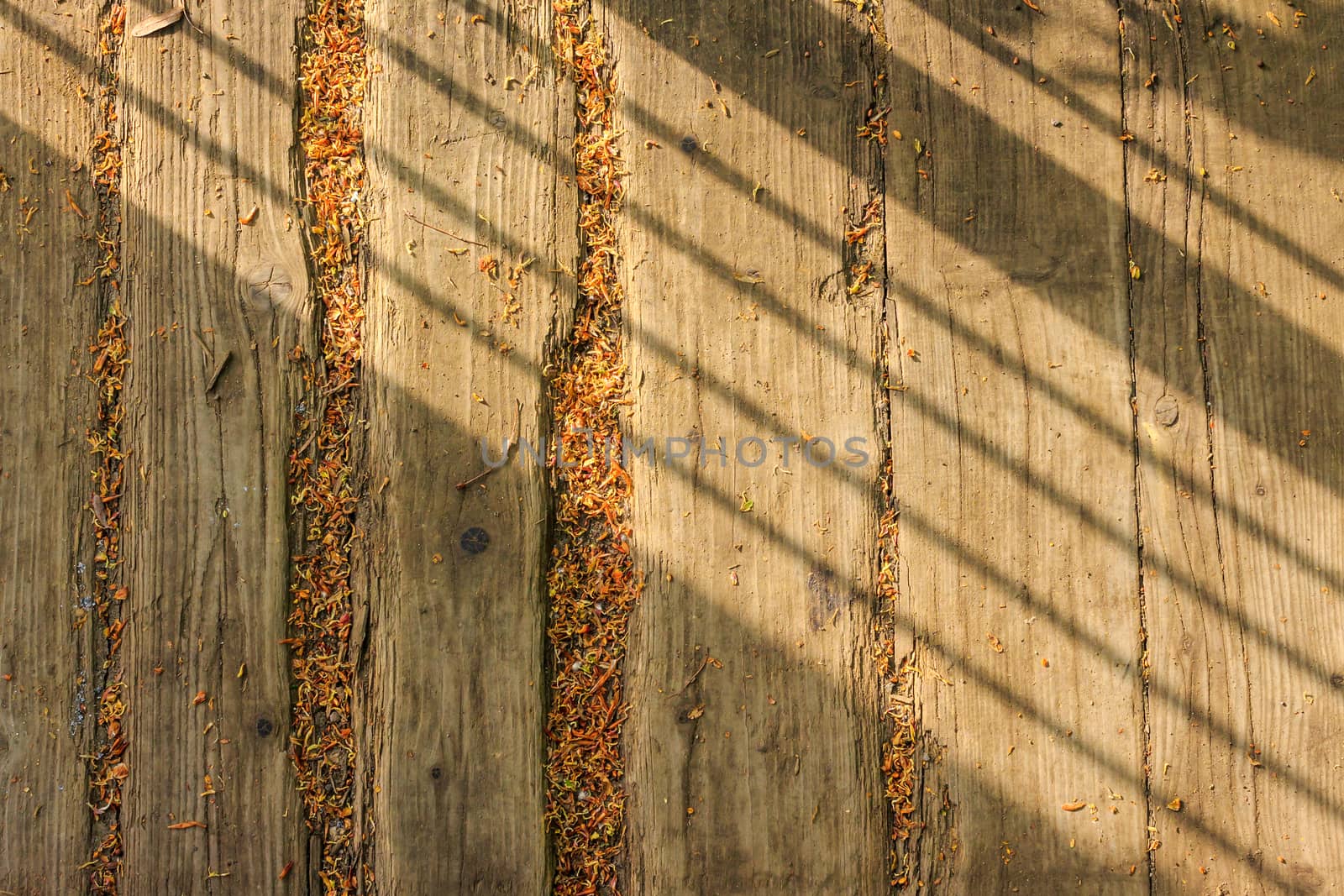 old weathered boards with fine foliage and oblique shadow