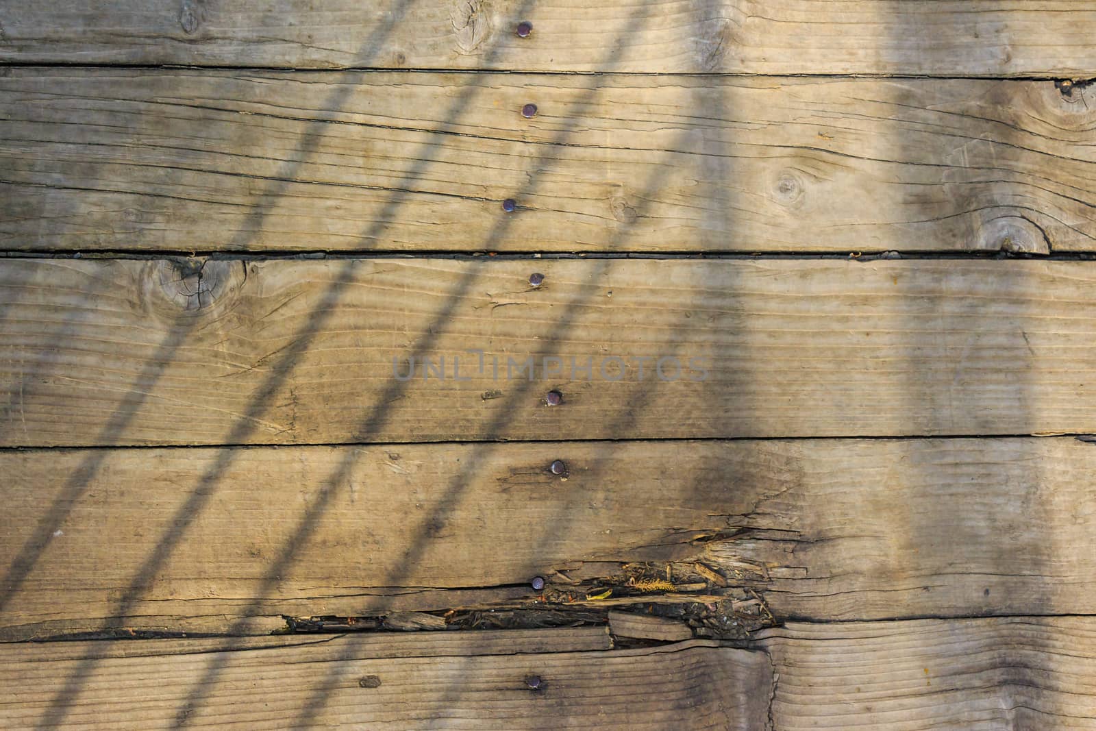 old planks nailed by Pellinni