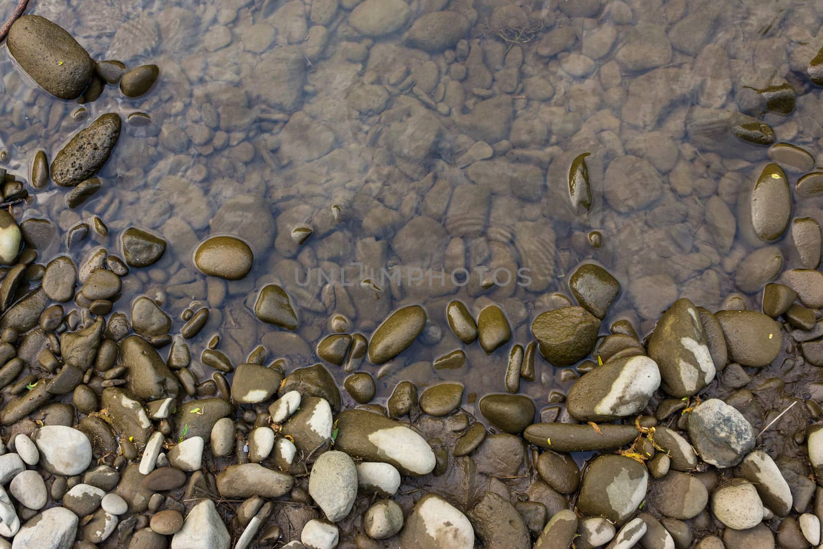 wide shore with gray river stones and water