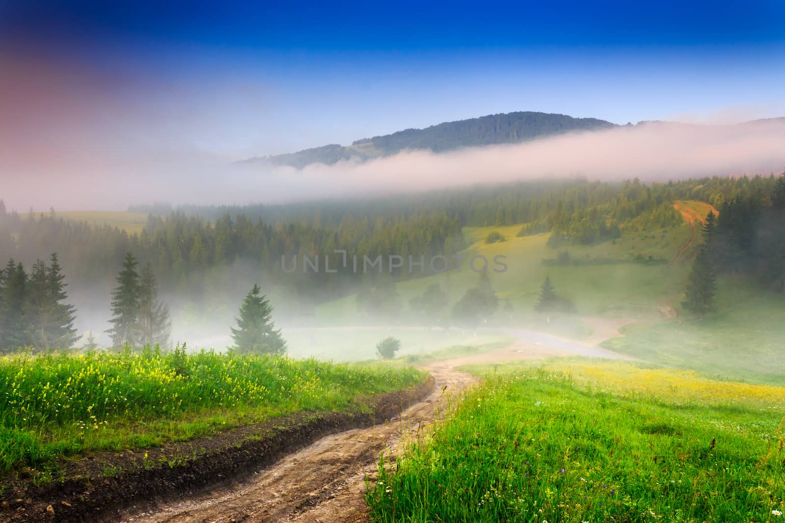 crossroads in the morning mist in mountains by Pellinni