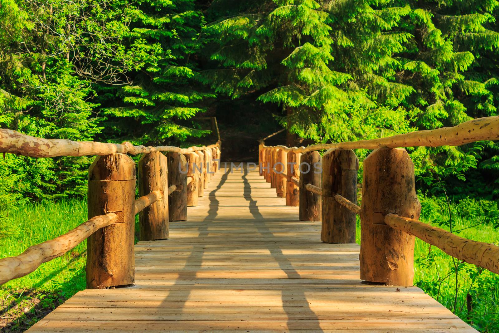 horisontal wooden bridge disappears in forest by Pellinni