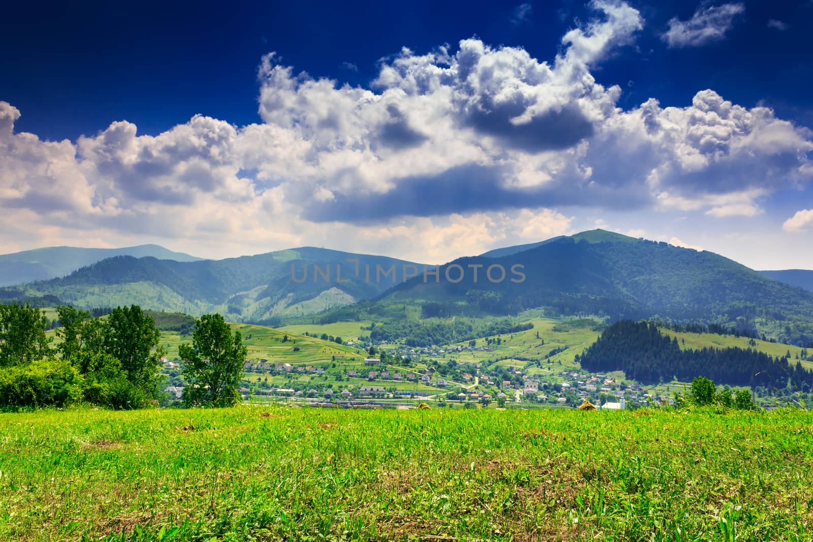 meadow with trees and shrubs in mountains massif away in the bac by Pellinni