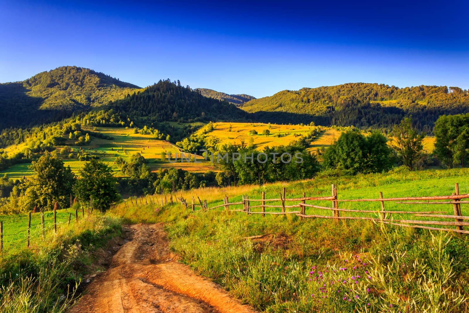 The road to the high mountains in the early morning near the wooden fence