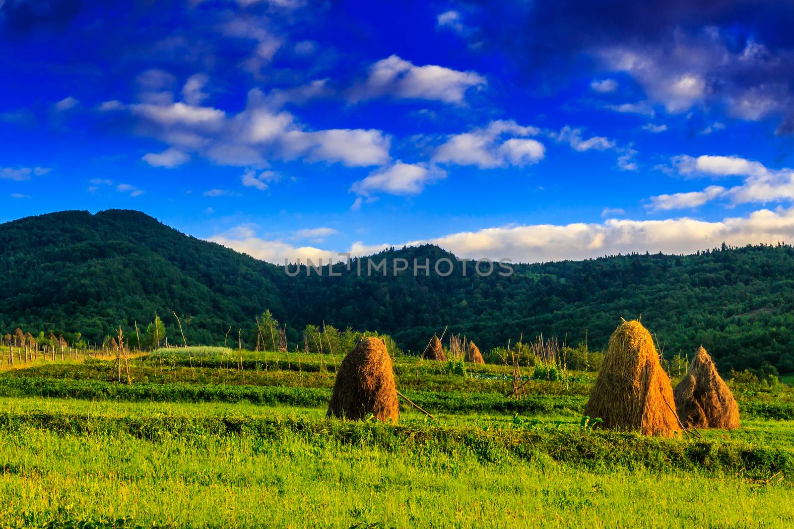 Stack of hay on a green meadow in the mountains in the morning under a blue summer sky
