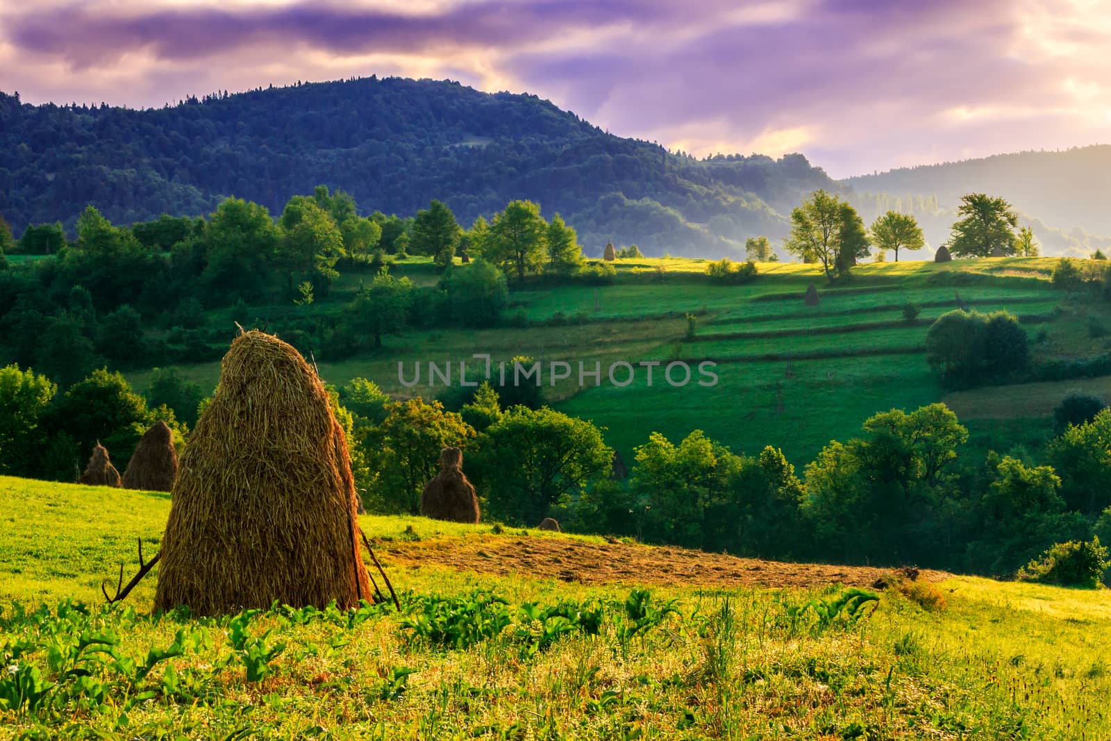 Stack of hay on the hillside under a menacing sky in the early morning