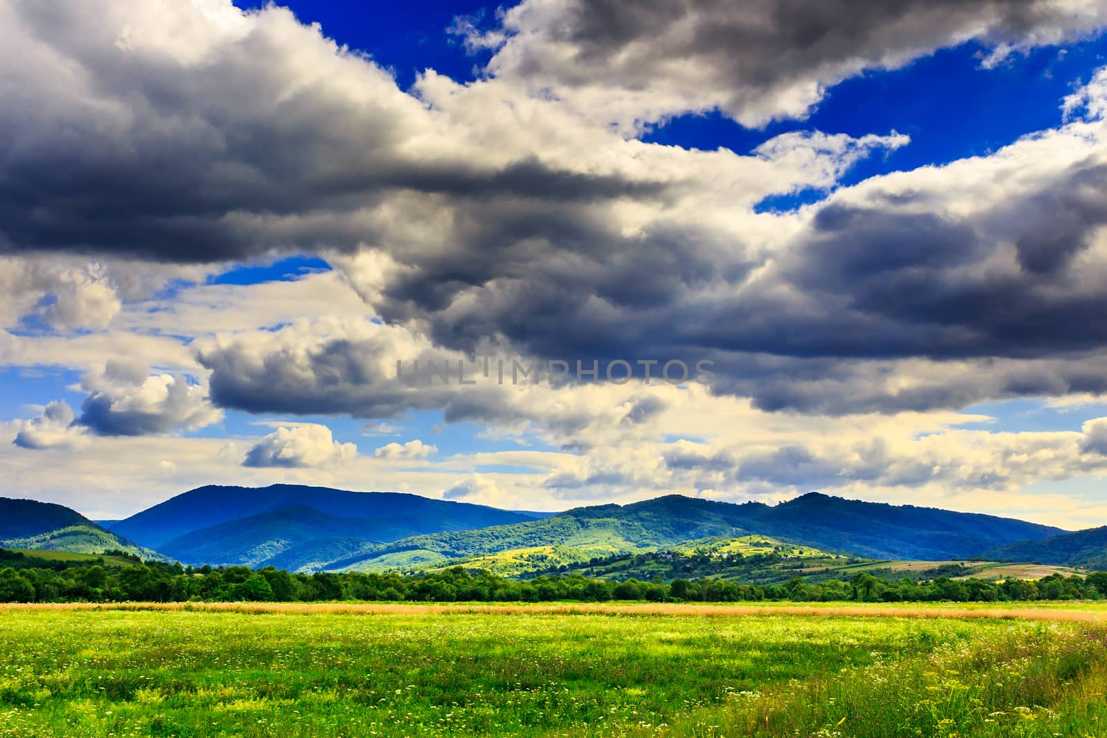 field in front of the mountains under cloudy sky