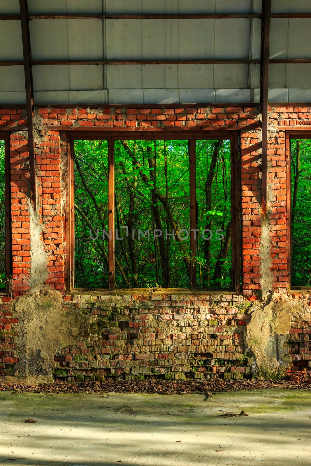 view of the forest through the window frame of an abandoned hangar