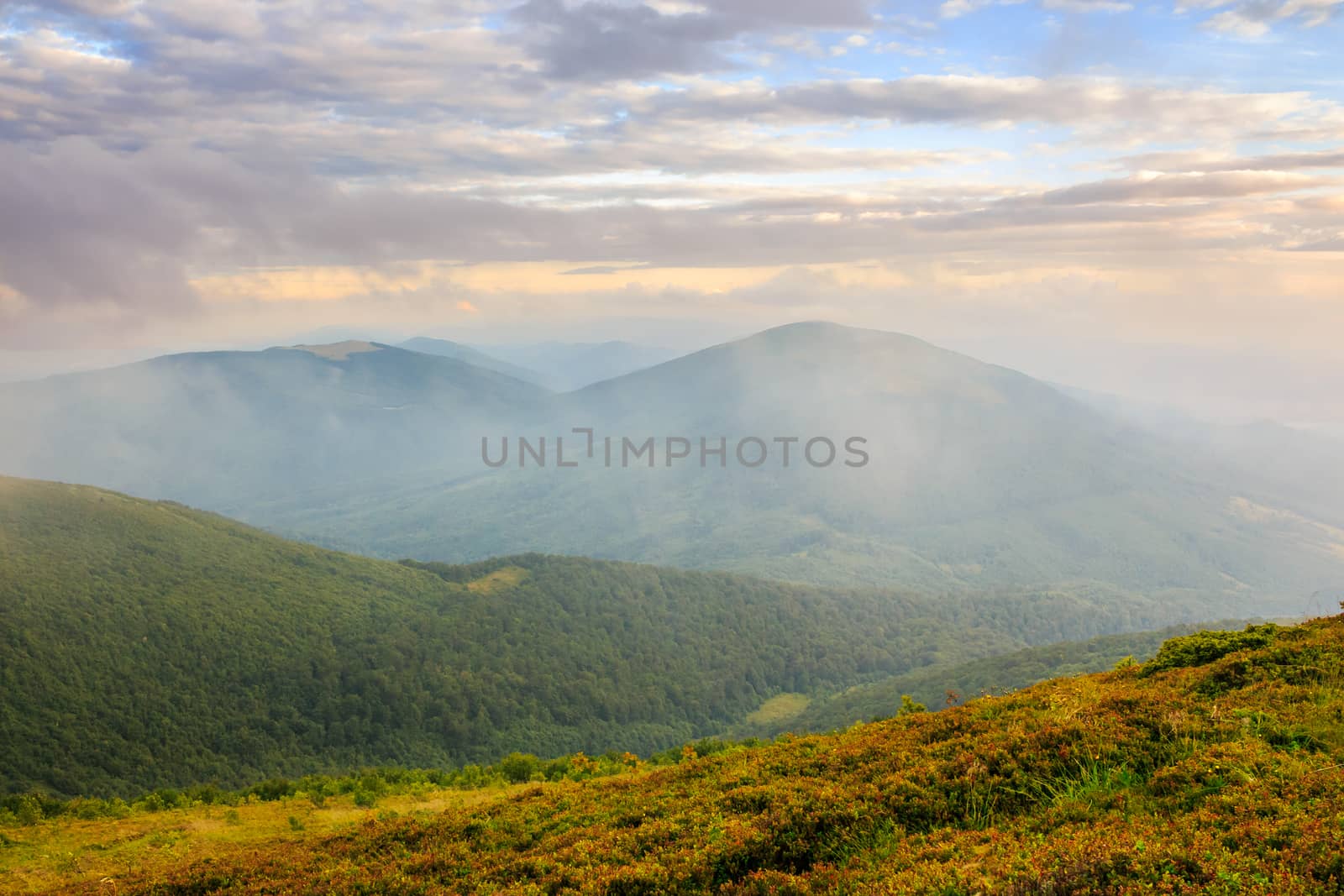 morning fog covers the mountains top by Pellinni