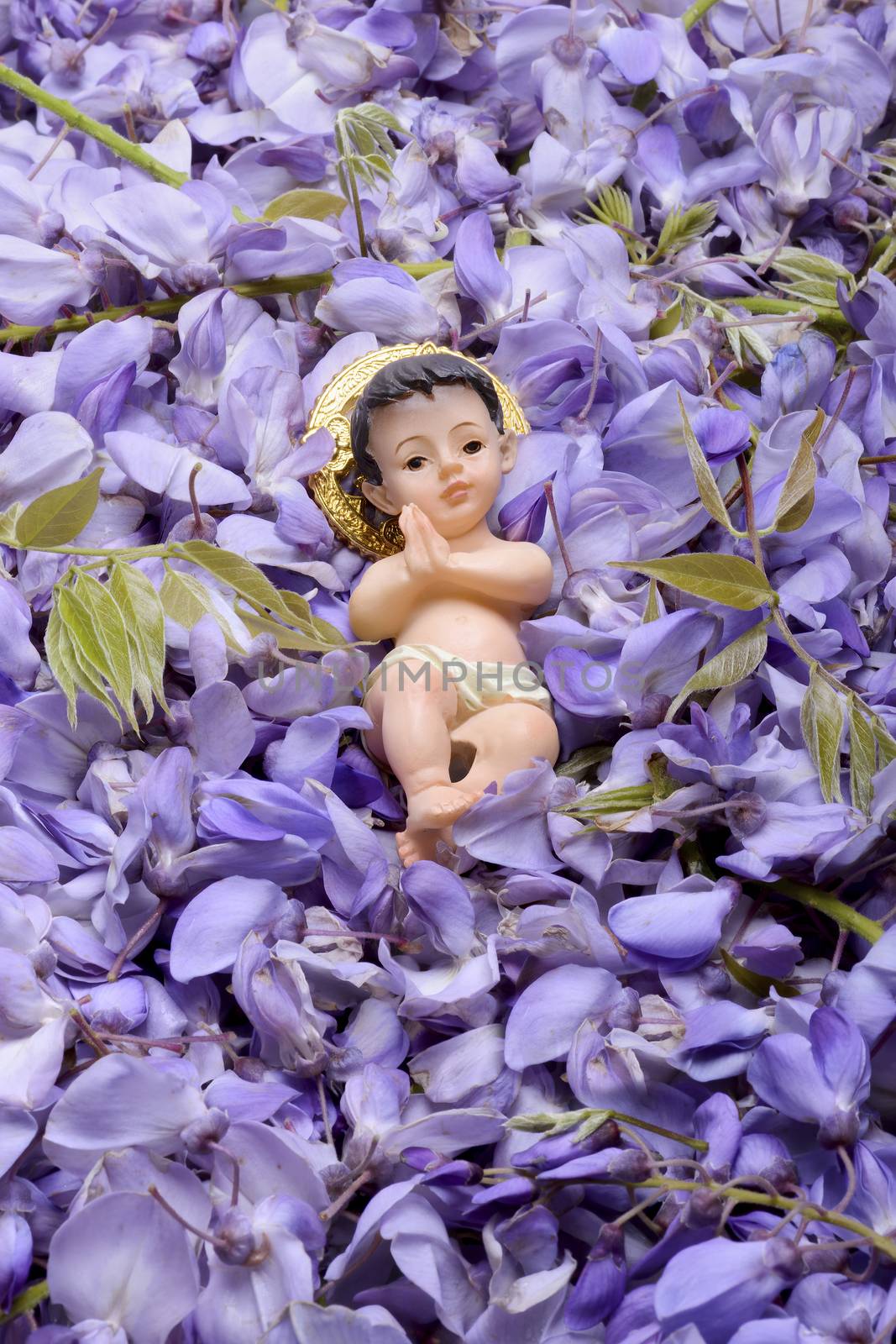 Jesus on a lawn wisteria flowers easter