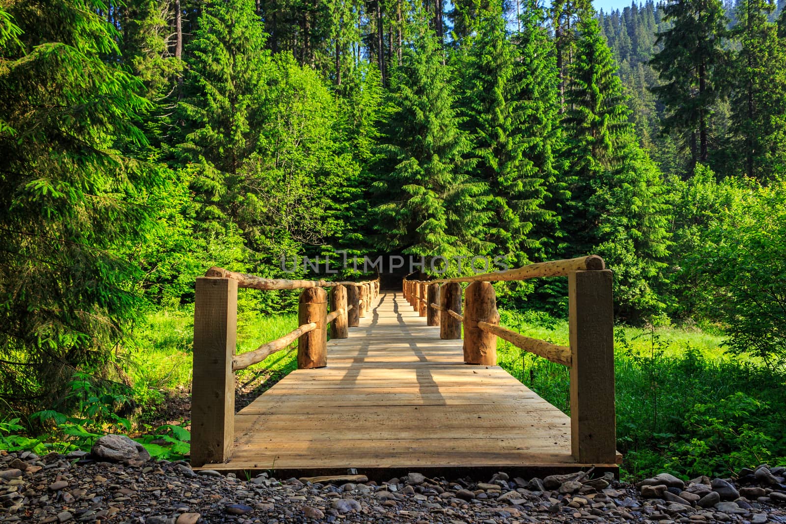 wooden bridge stretching into the depths of the forest horizonta by Pellinni