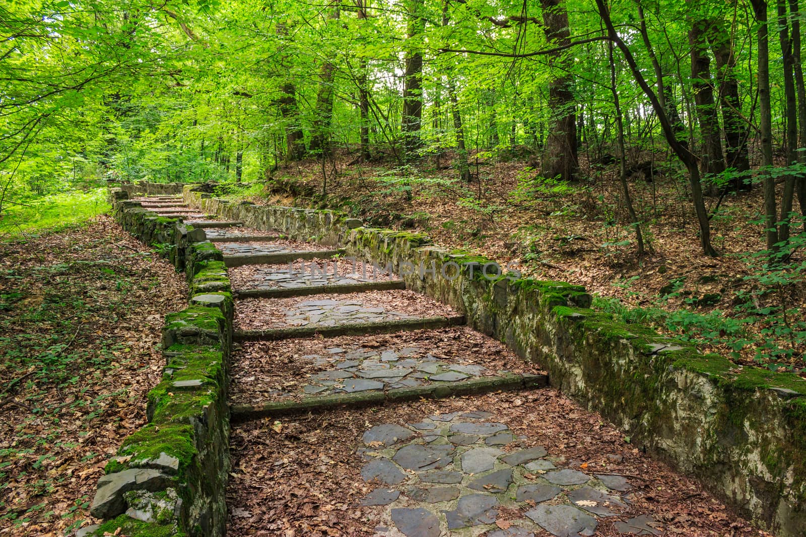 winding path with steps made ​​of stone among the trees in a city park is covered with foliage horizontal