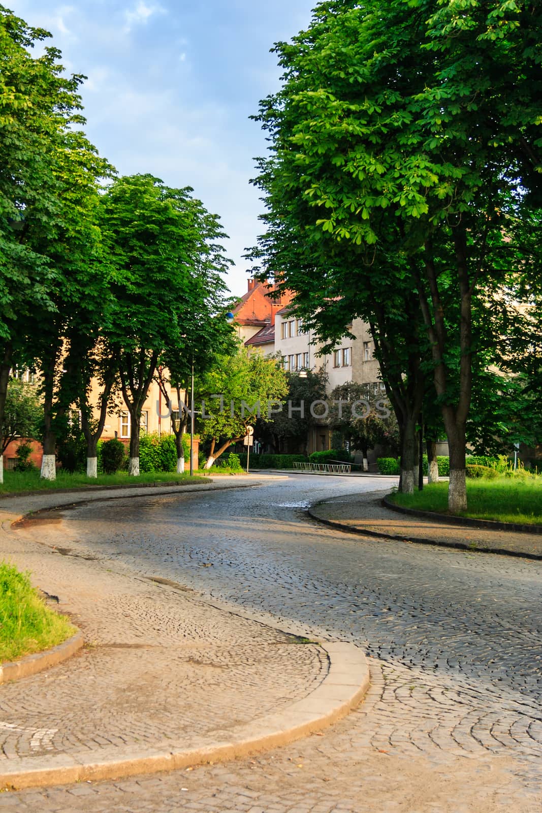 paving winds through the old town near the park in the early morning