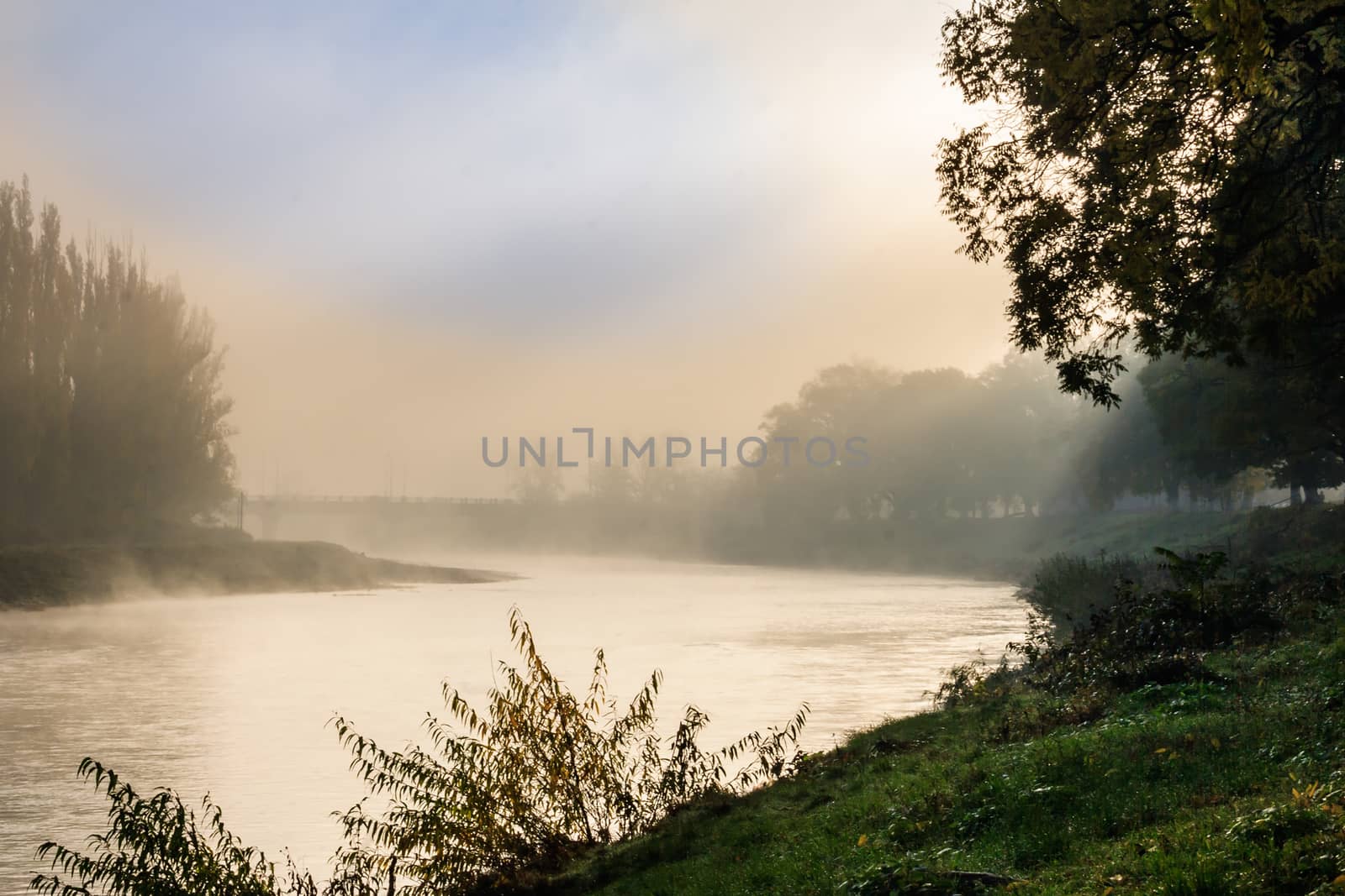 foggy autumn morning on the river