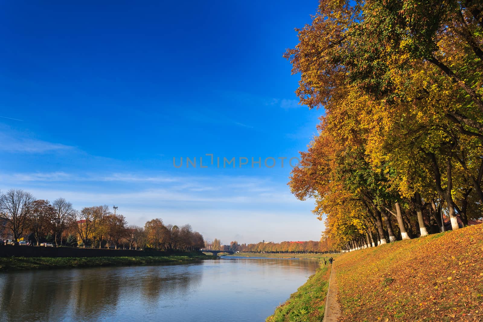 yellow autumn foliage on the embankment and the clear blue sky reflected in the river horizontal