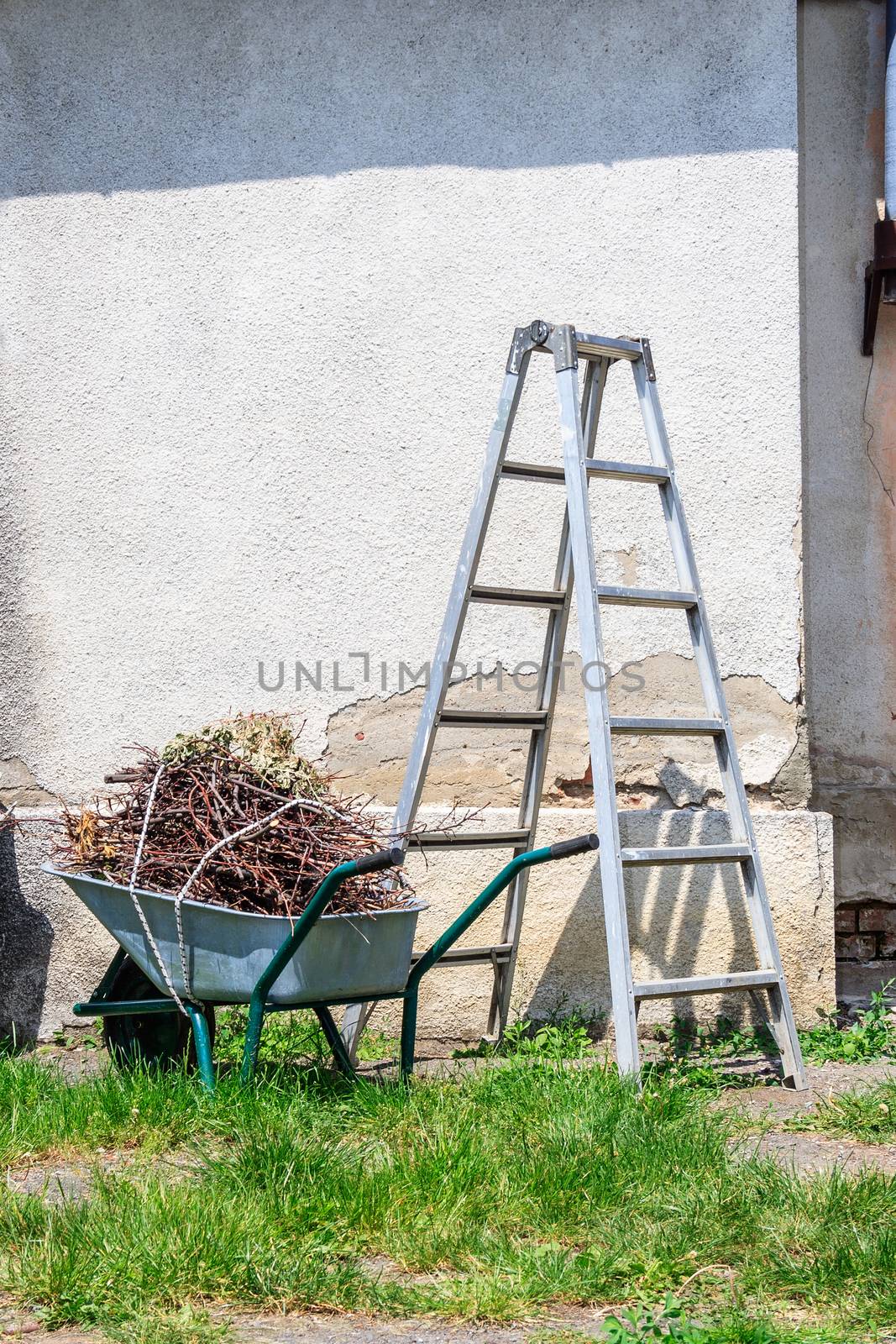 metal ladder and a wheelbarrow filled with cut branches standing in the grass near the old wall