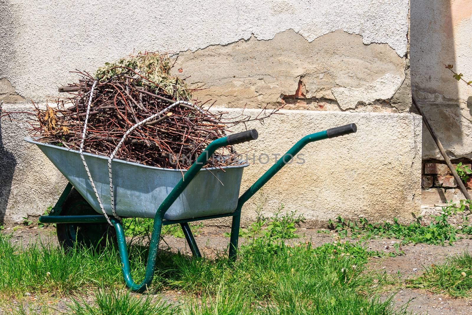 wheelbarrow filled with cut branches standing in the grass near the old wall