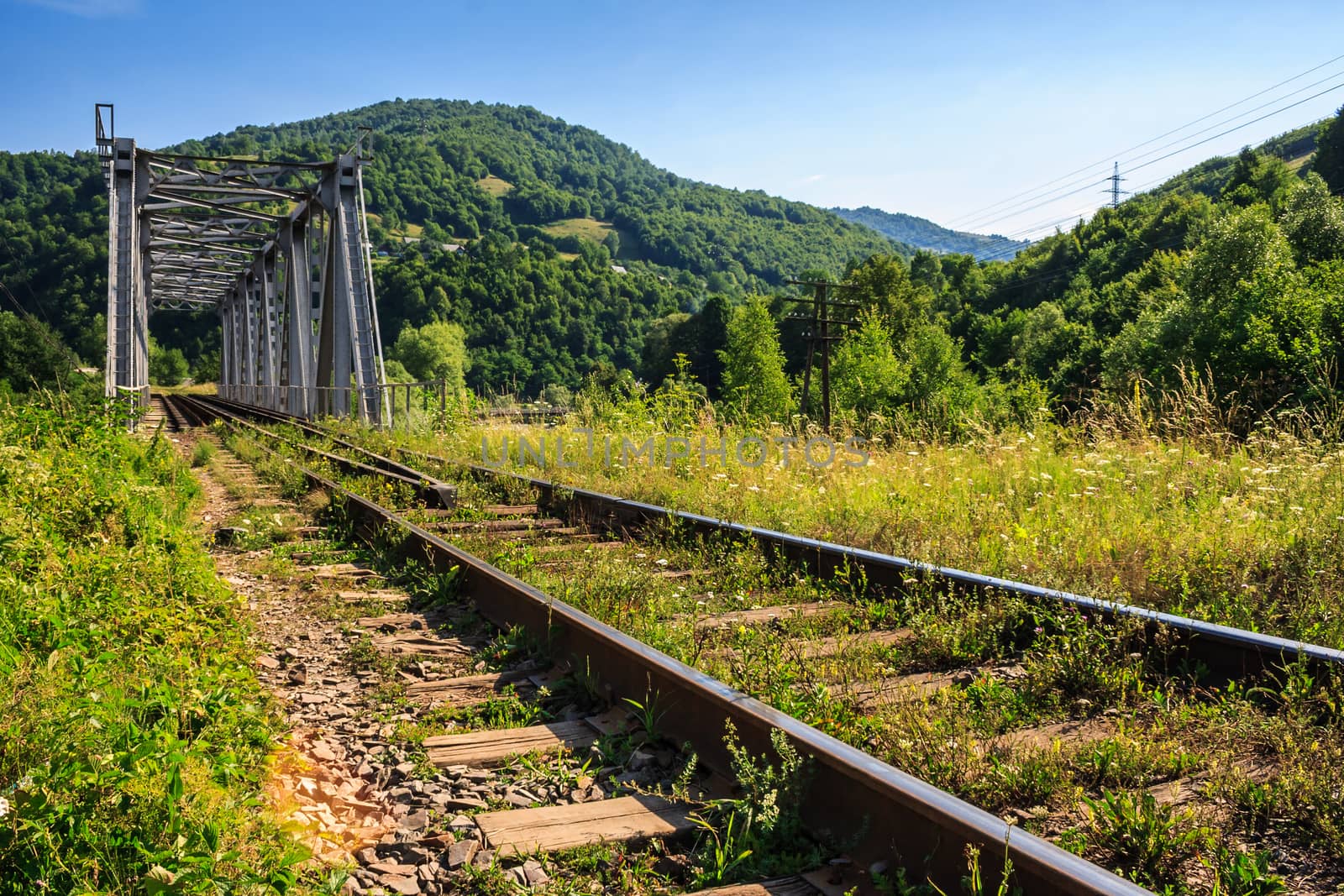 rail metal bridge in mountains by Pellinni