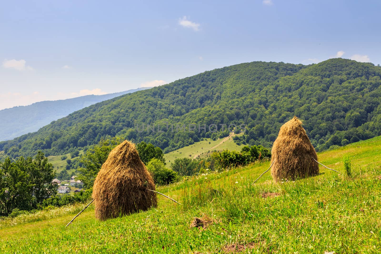 haystacks on the hillside near the village