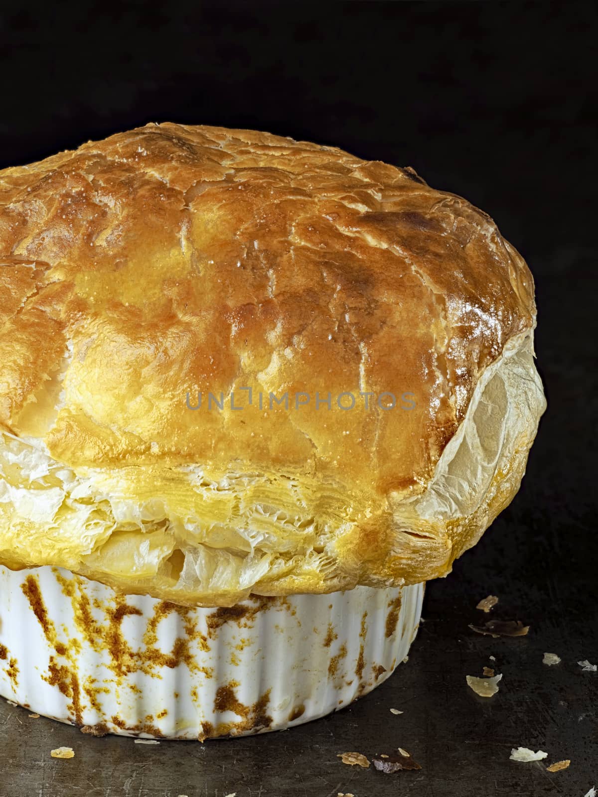 rustic golden english meat pot pie with flaky crust by zkruger