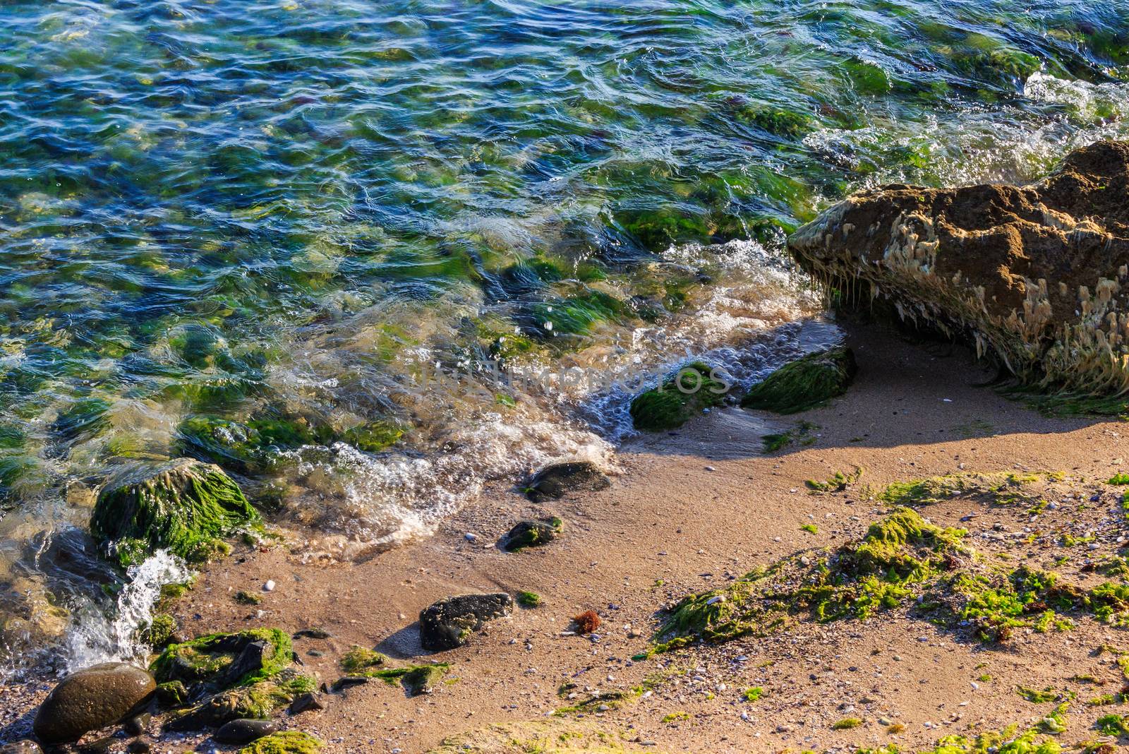 sea waves take out seaweed on rocky sandy beach