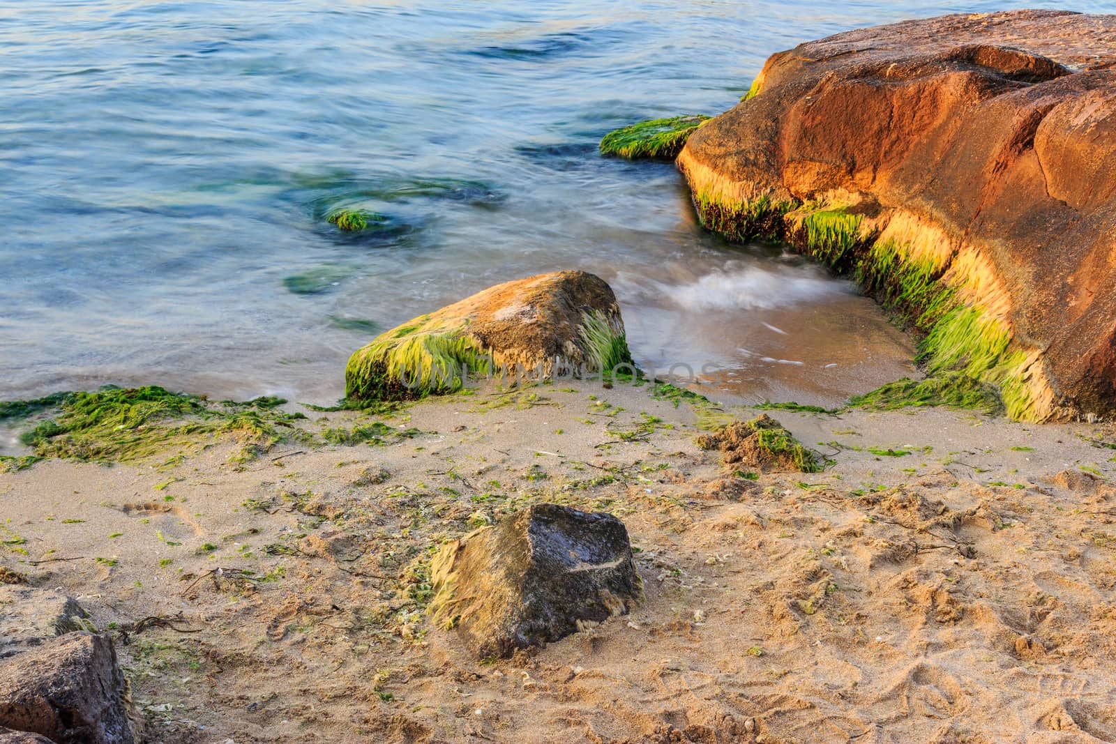 small sea wave beating against the big orange stone, covered with seaweed on  sandy beach