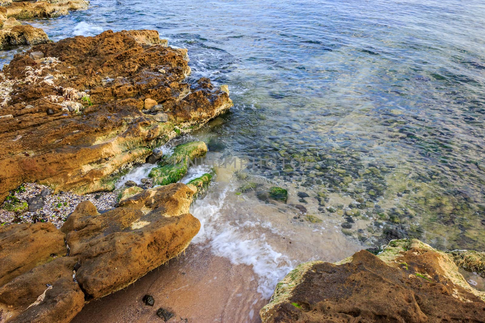 ocean waves breaking on a rocky shore. through the water can be seen seabed. pebbles, shells and seaweed lie on the seabed