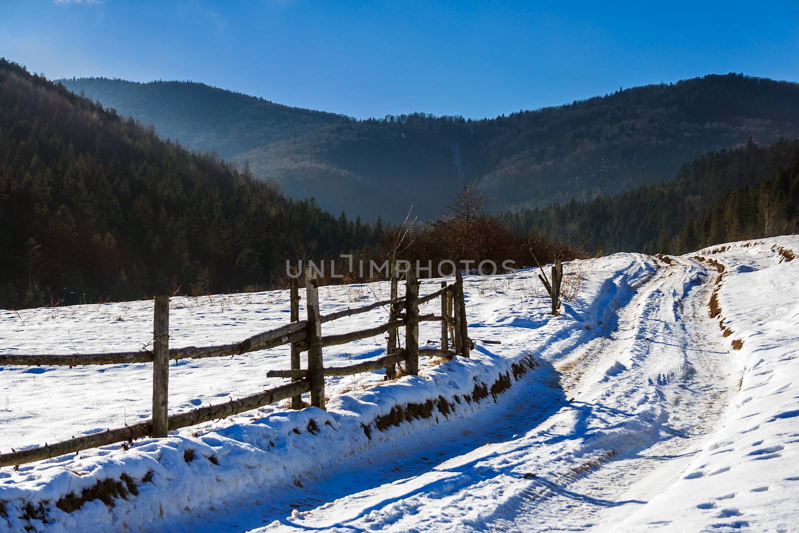 winter mountain landscape. winding road that leads into the pine forest covered with snow. wooden fence stands near the road.