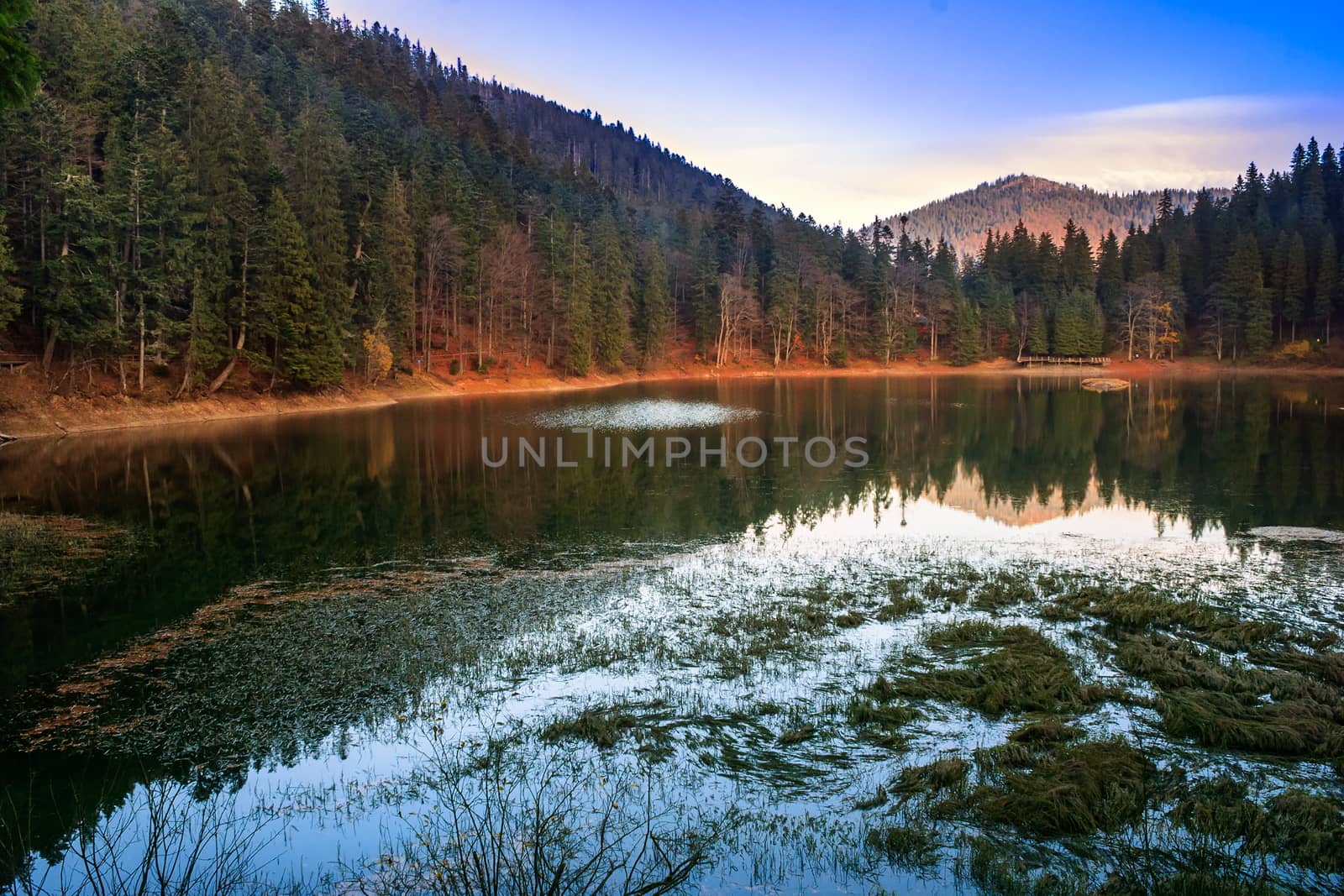 autumn evening at a mountain lake in forest