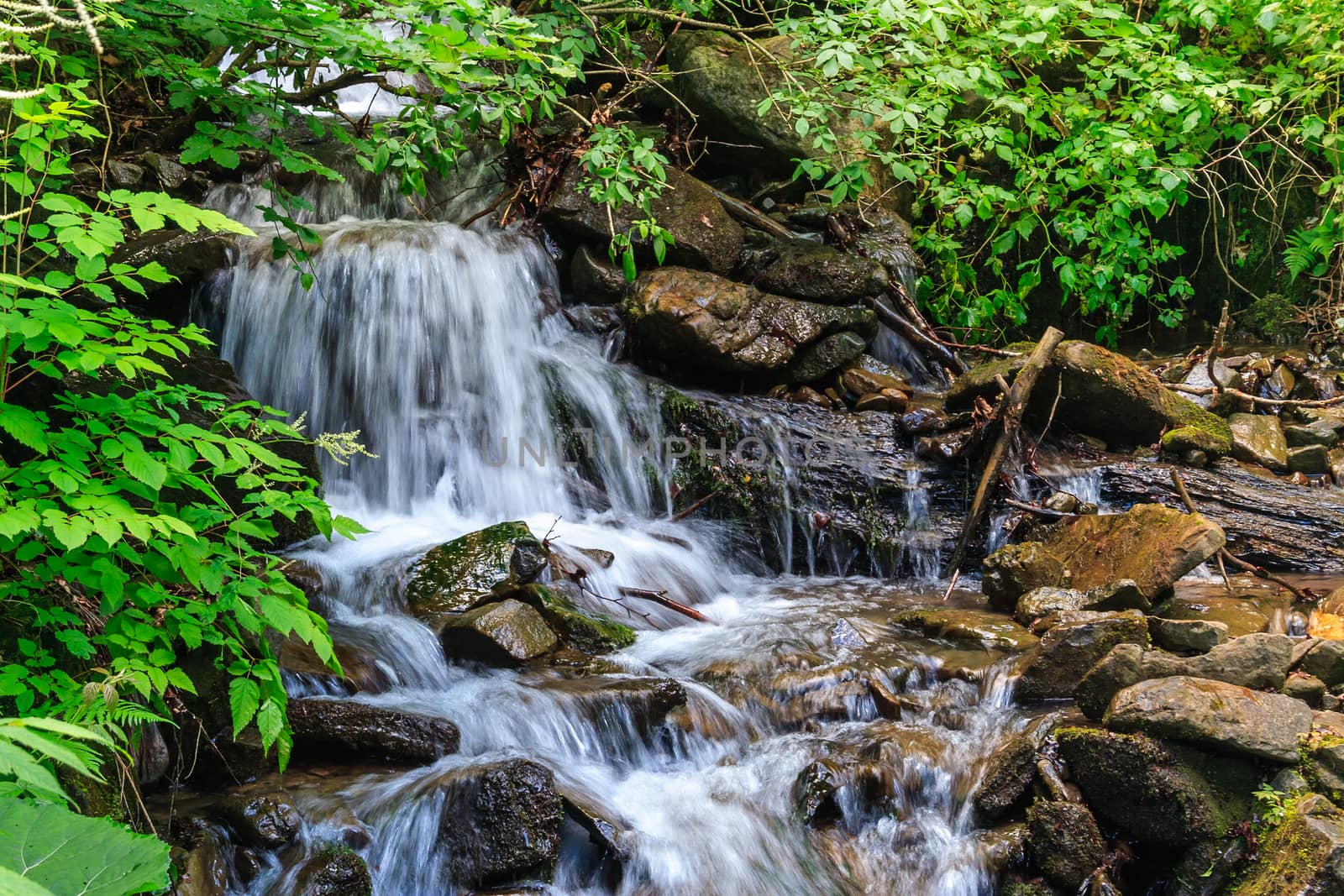 small waterfall behind  branches of trees