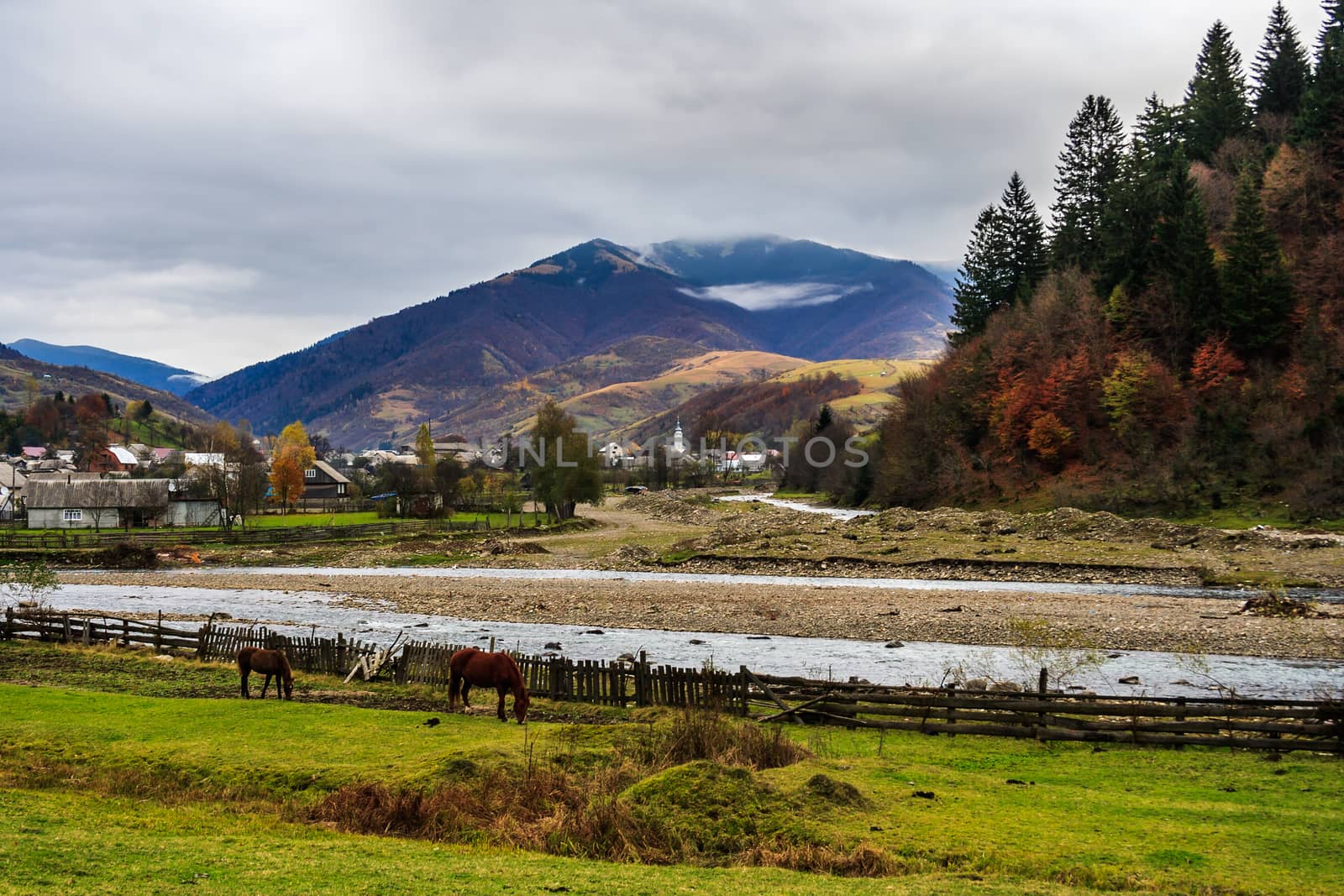 Autumn mountain landscape in a cloudy day. confluence of the rivers on the outskirts of the village. Horses graze along the river.