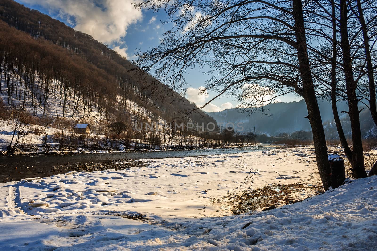 Trees on a snow-covered slope to the river near the forest between the mountains