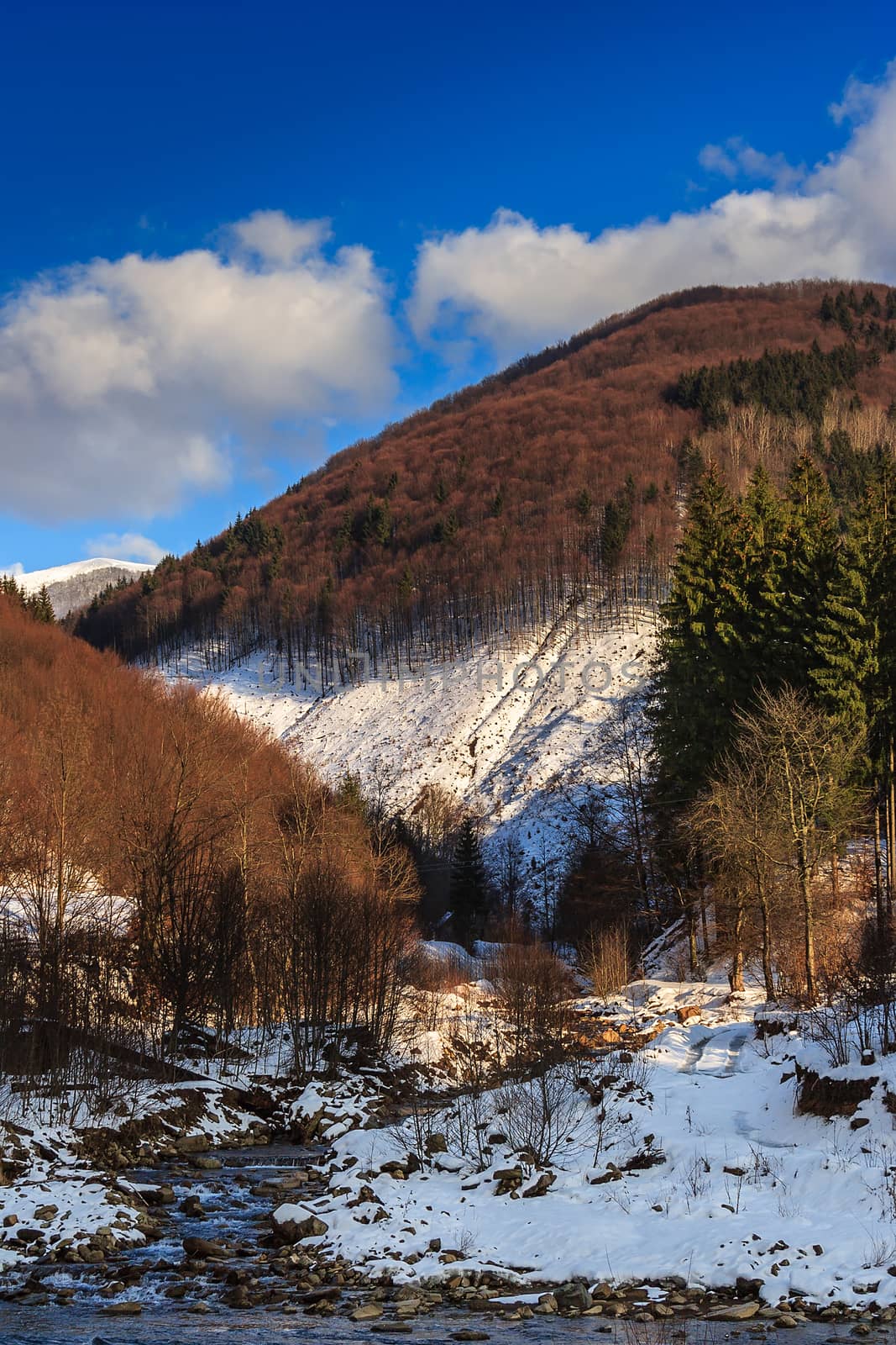 winter landscape. stream flows between the mountains covered with snow. on the mountains grows forest of deciduous trees and some conifers