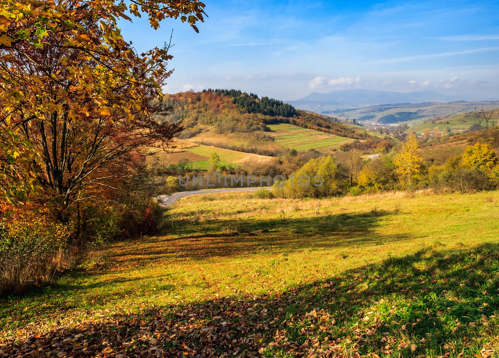 Autumn mountain landscape. tree and  meadow strewn with  foliage in the foreground. small village can be seen away in the mountains 
