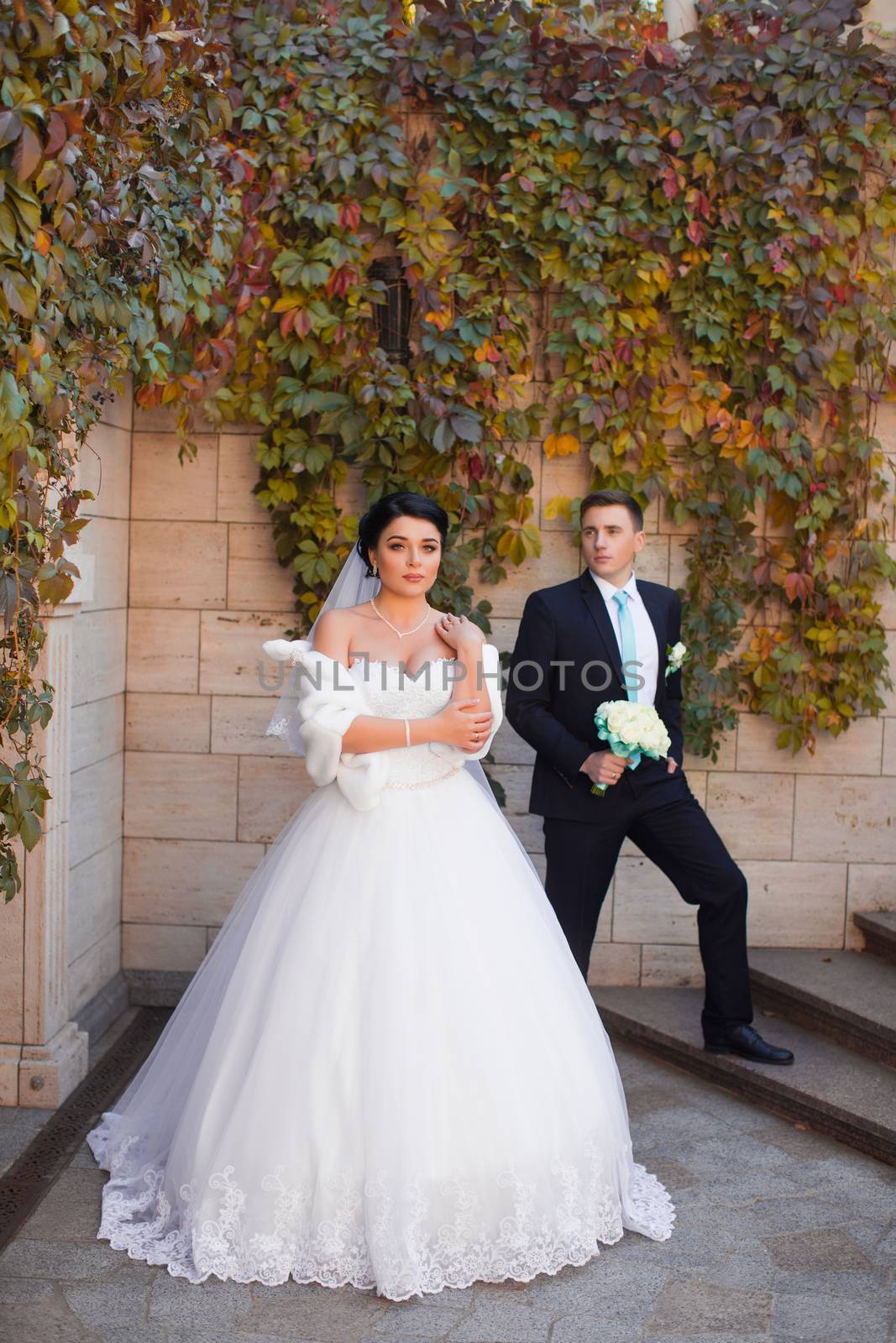 Stylish newlyweds posing on photo shoot by lanser314