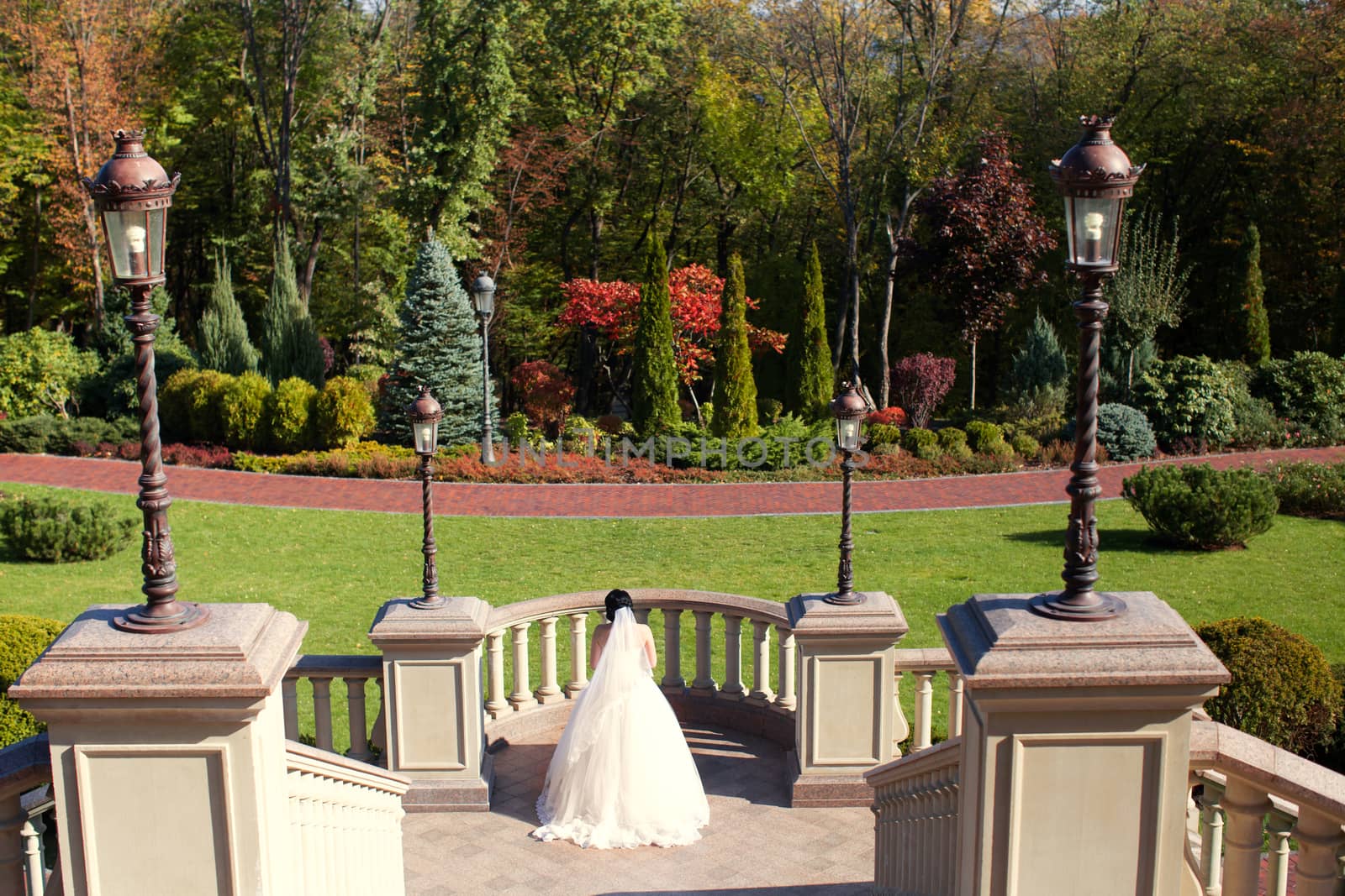 Happy bride in a rich wedding dress in a summer park