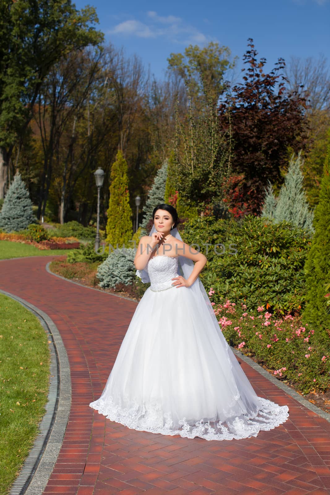 Bride on promenade in summer park posing on photo