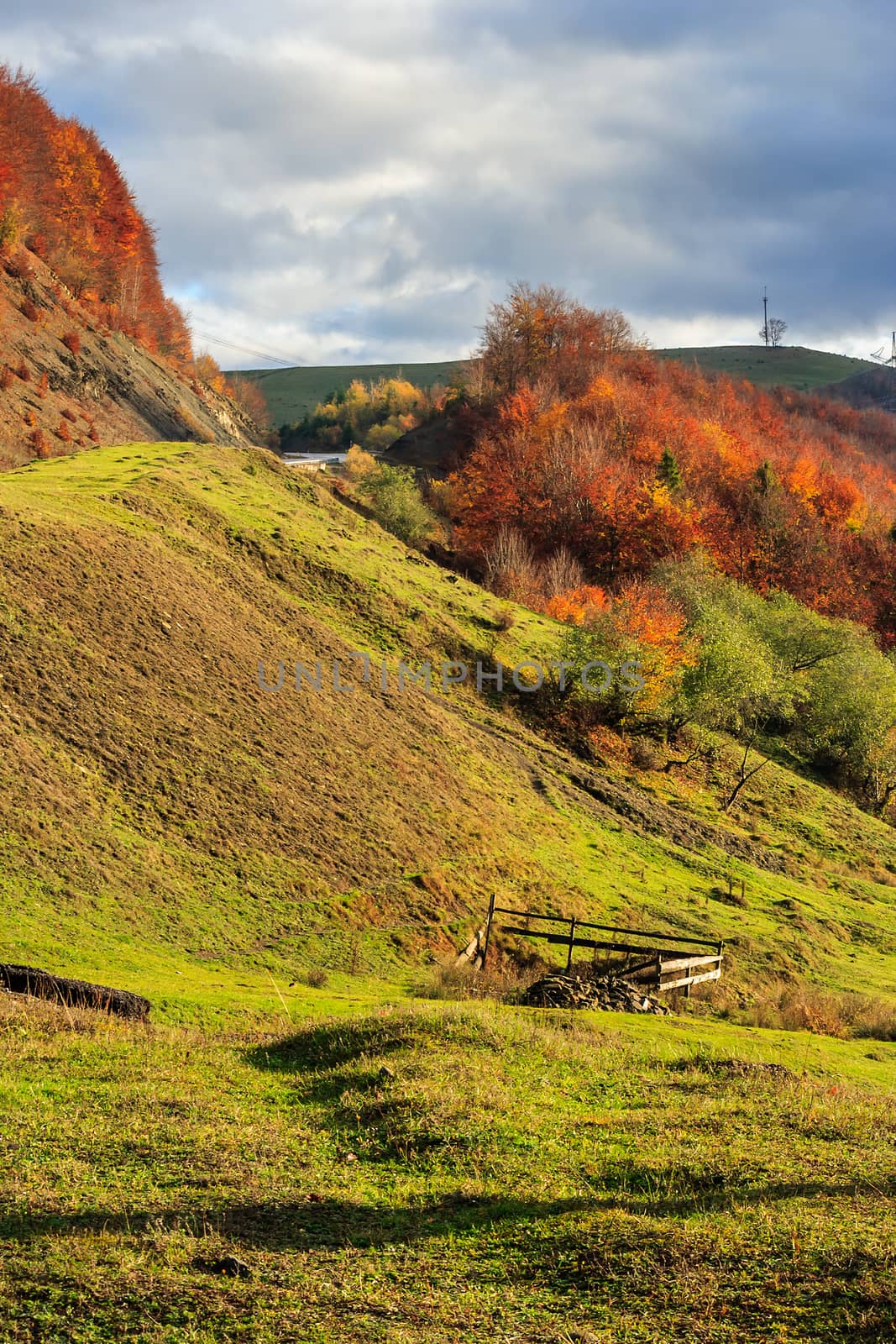 autumn mountain landscape. hillside with pine and Colorful foliage aspen trees near green valley