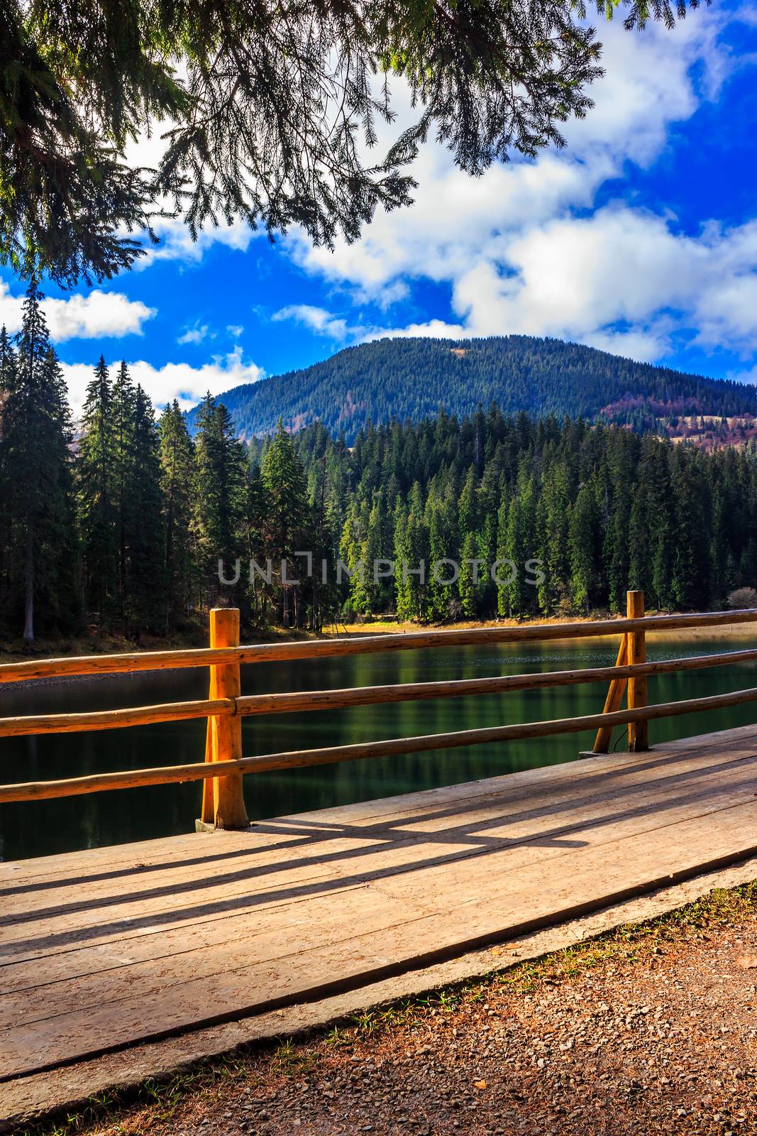 fence on the Lake in mountain near coniferous forest